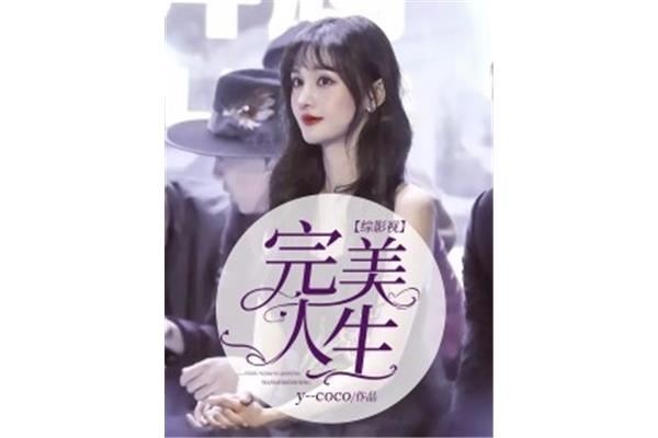 完美的人生