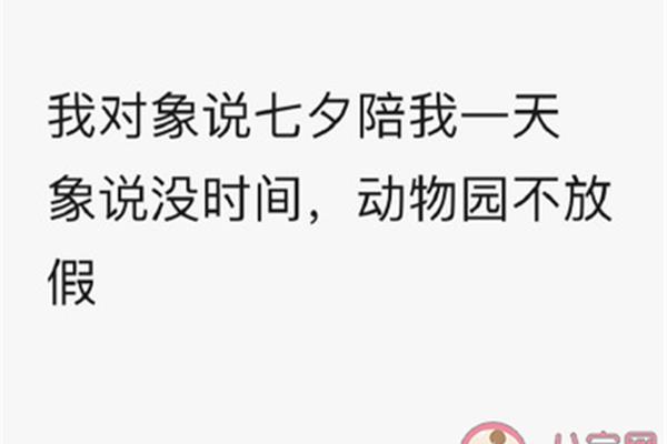 找对象的句子
