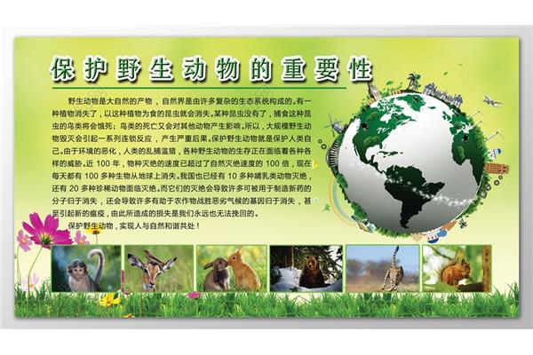 保护动物的标语