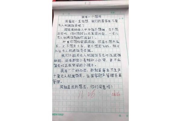 我有一个想法作文