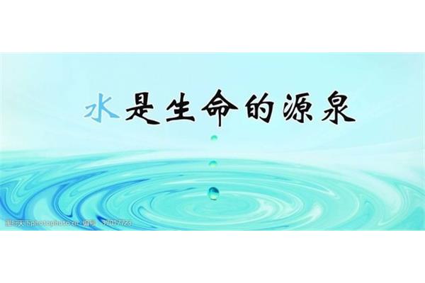 生命的源泉