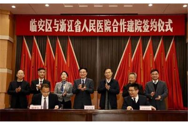 临安区人民政府