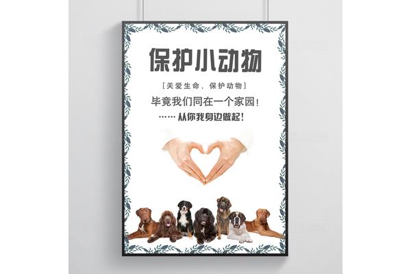 保护动物的标语