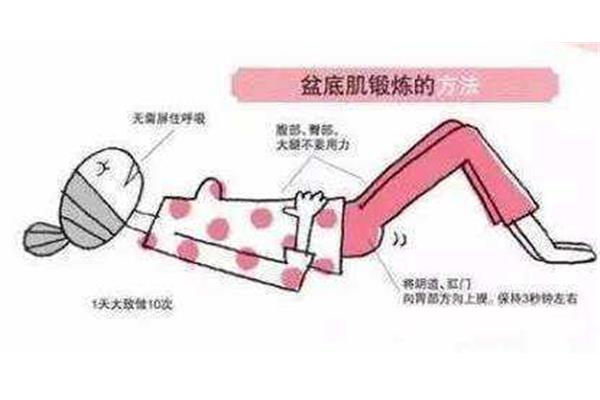 盆底肌怎么锻炼