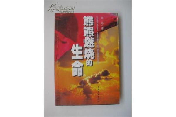 燃烧的生命
