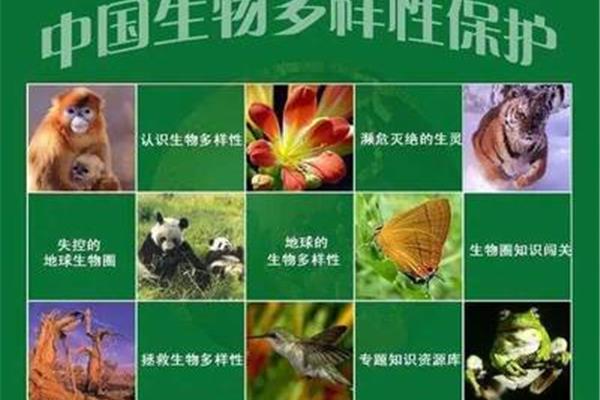 保护动物的标语