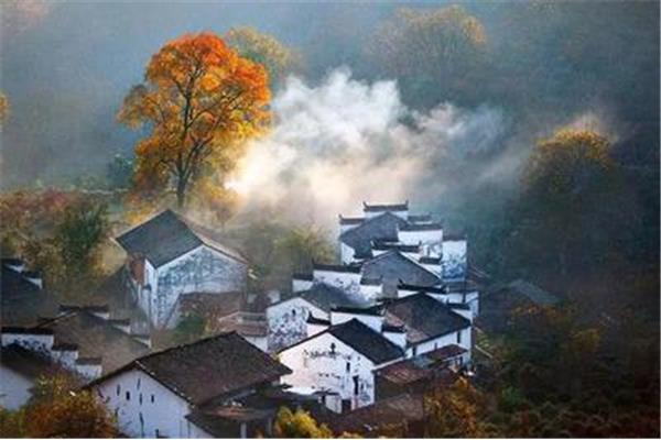 春去秋来又一春