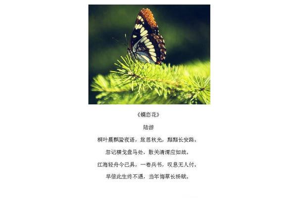 蝶恋花陆游