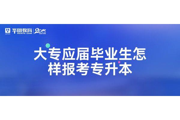 报考全日制大专