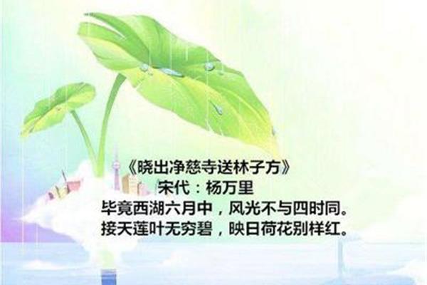 描写夏天的古诗