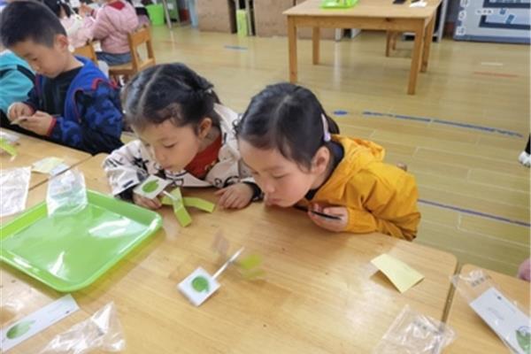 儿童小实验