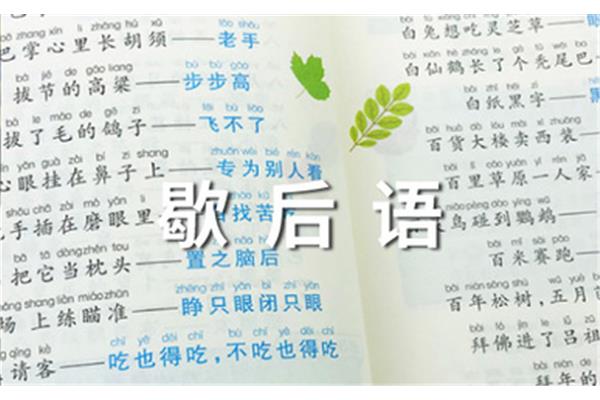 猪八戒败阵歇后语