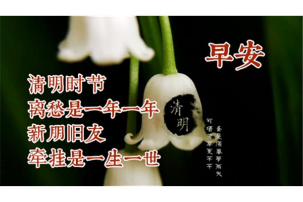 节的四字成语