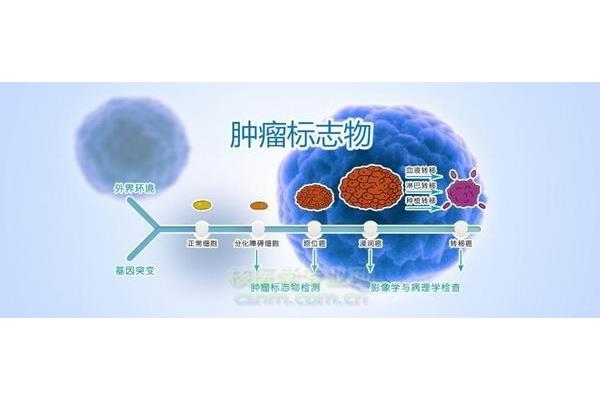 同工酶是指