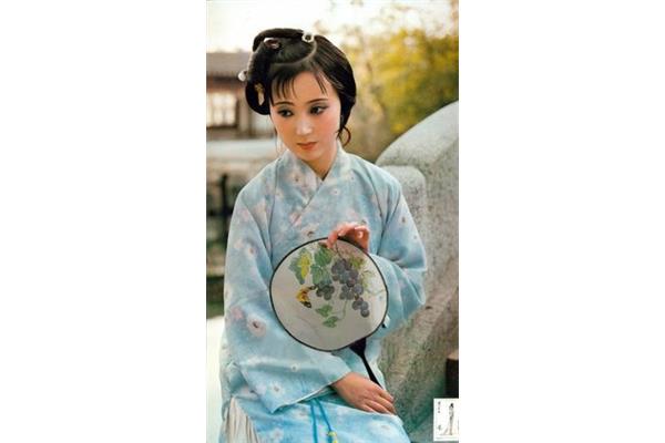 试看春残花渐落