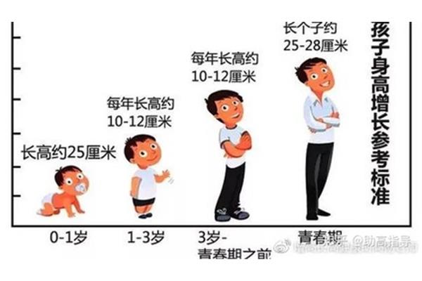 快速长高的方法