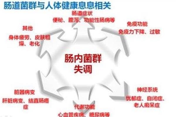 力是什么的作用