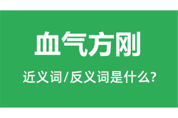 血气方刚的近义词