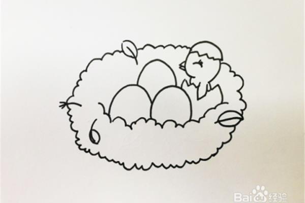 鸟窝怎么画