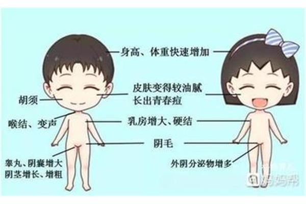 快速长高的方法