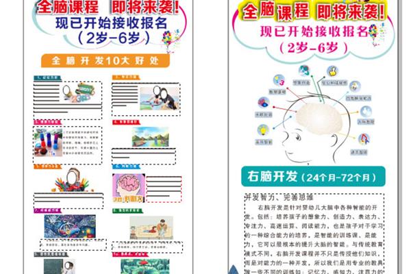 全脑开发课程