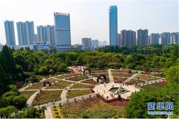 武汉市青山区