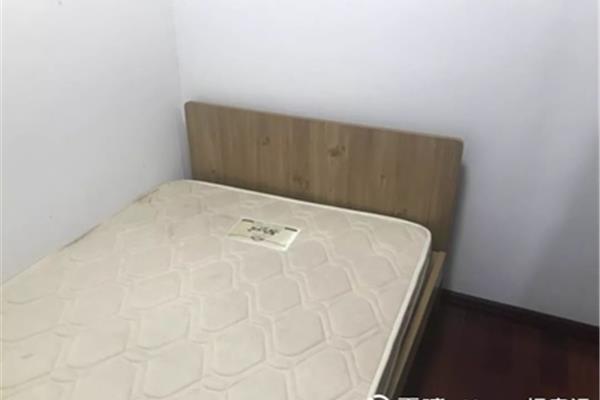 不遗余力什么意思