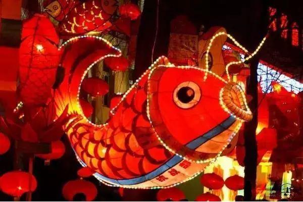 元旦要干什么