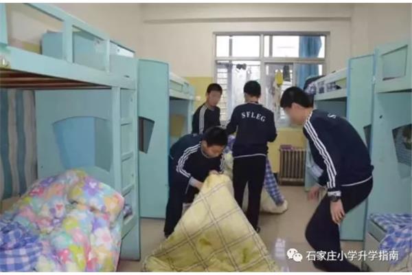 石家庄43中