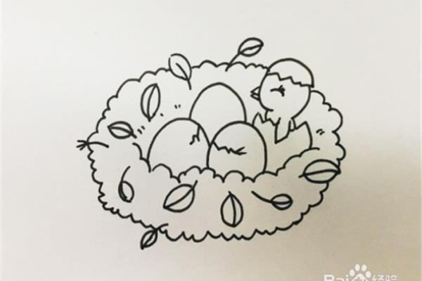 鸟窝怎么画