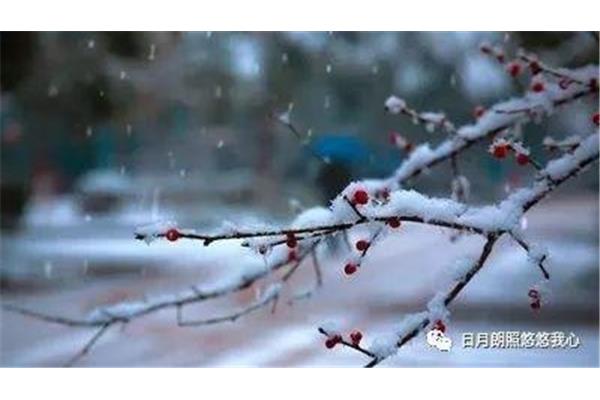 大雪是什么意思