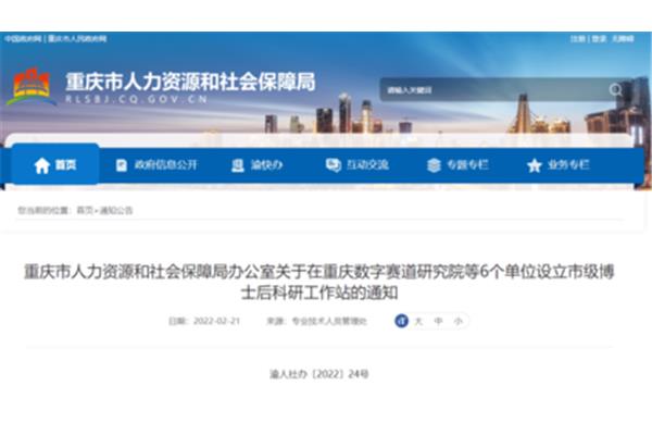重庆市人力