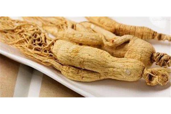 人参怎么吃效果好