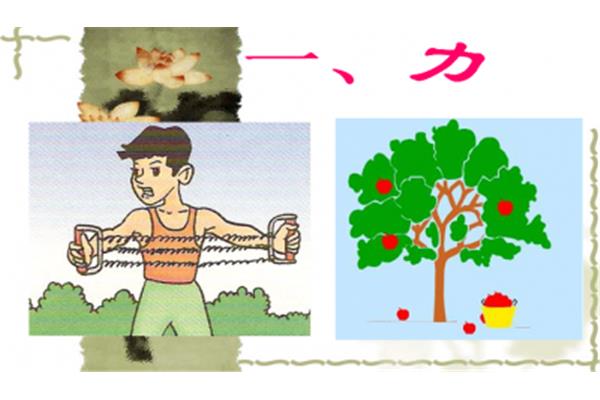 力是什么的作用
