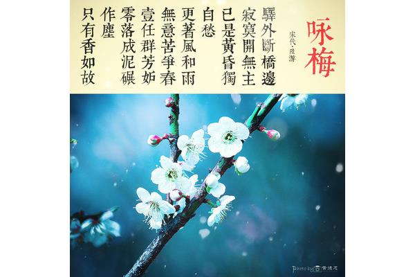 只有香如故