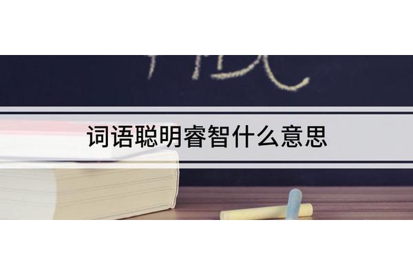 聪明的词语