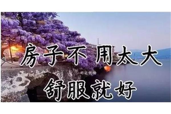 黄带一级片