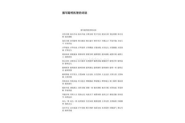 聪明的词语