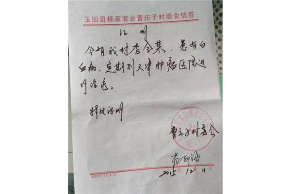 村委会证明