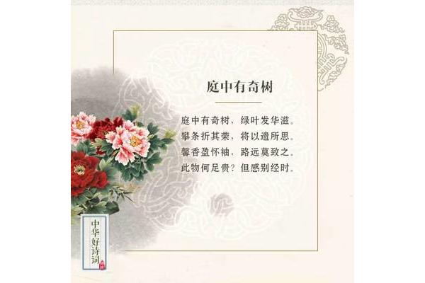 攀条折其荣