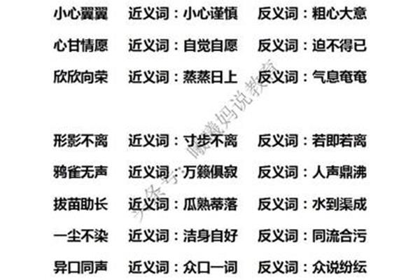 谨慎的反义词