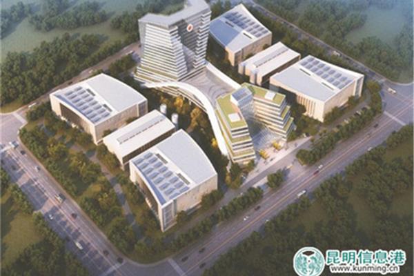 云南信息网