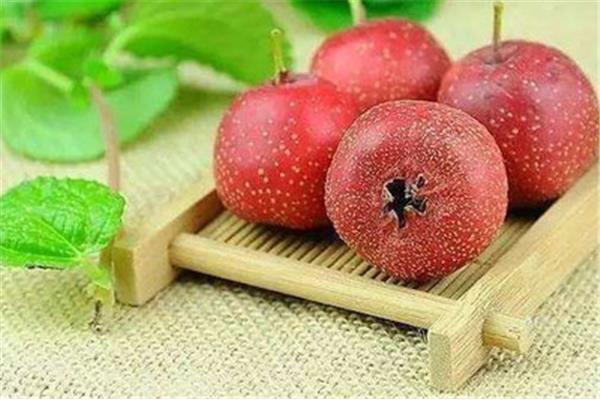 吃什么缓解孕吐
