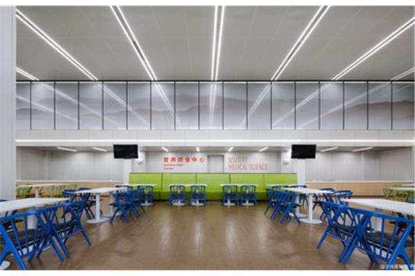 ida医学