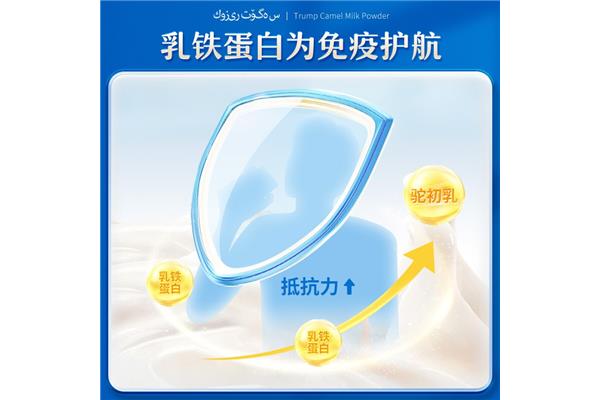 公务员条件