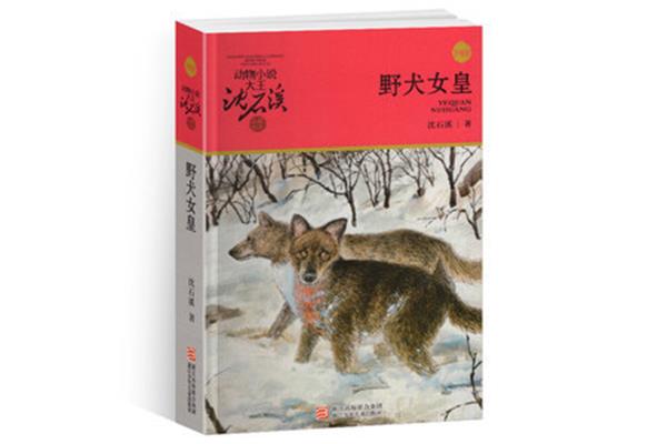 沈石溪的书