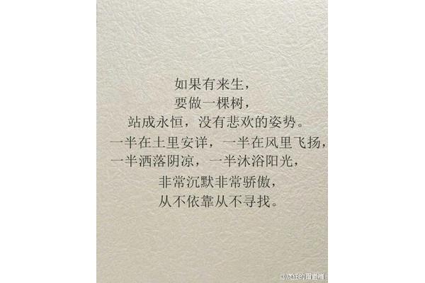友情的名言名句
