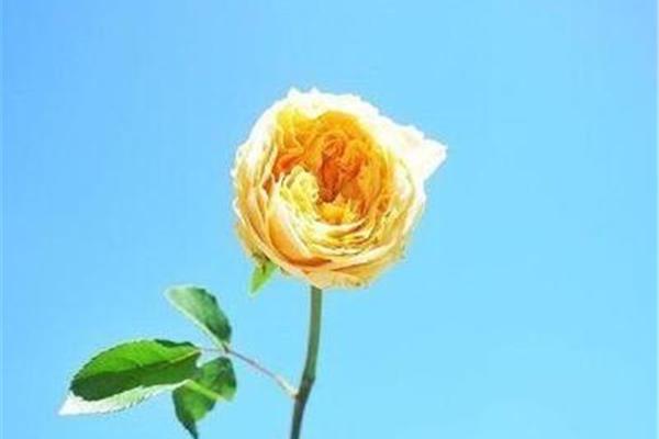 致自己的人生格言