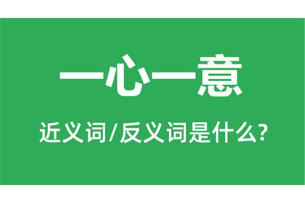 一心一意的反义词