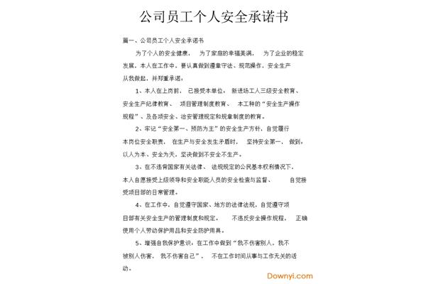 安全承诺书模板